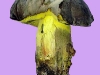 boletus_fechtneri